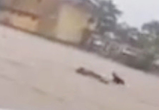 Kinh hoàng với clip người đàn ông ôm chặt bè cá trôi giữa lũ