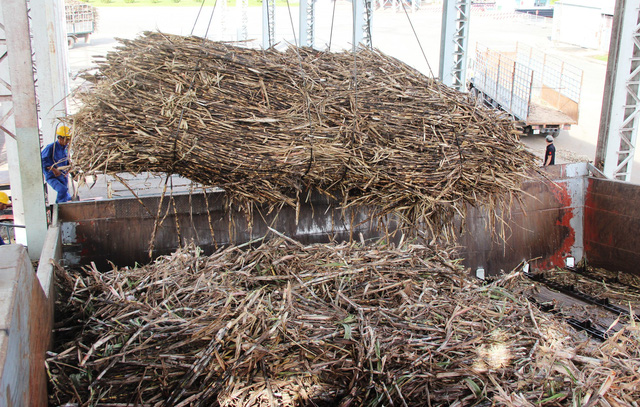 Gần 500 ha mía bị đốt trụi, hàng chục tỷ đồng ra tro