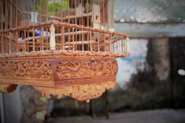 Ngôi làng của những triệu phú lồng chim giữa Thủ đô