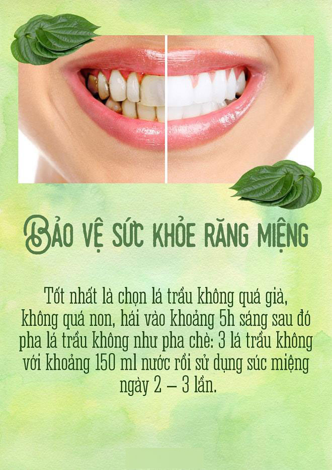 Trầu đâu chỉ để nhai cho vui, trị mụn, trắng răng, trầu làm được hết! Trầu đâu chỉ để nhai cho vui, trị mụn, trắng răng, trầu làm được hết!