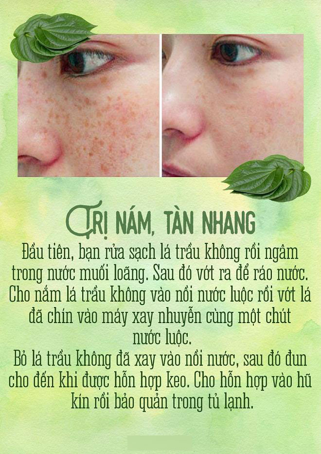 Trầu đâu chỉ để nhai cho vui, trị mụn, trắng răng, trầu làm được hết! Trầu đâu chỉ để nhai cho vui, trị mụn, trắng răng, trầu làm được hết!