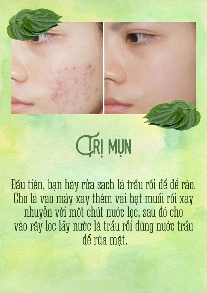 Trầu đâu chỉ để nhai cho vui, trị mụn, trắng răng, trầu làm được hết! Trầu đâu chỉ để nhai cho vui, trị mụn, trắng răng, trầu làm được hết!