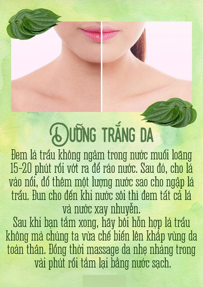 Trầu đâu chỉ để nhai cho vui, trị mụn, trắng răng, trầu làm được hết! Trầu đâu chỉ để nhai cho vui, trị mụn, trắng răng, trầu làm được hết!