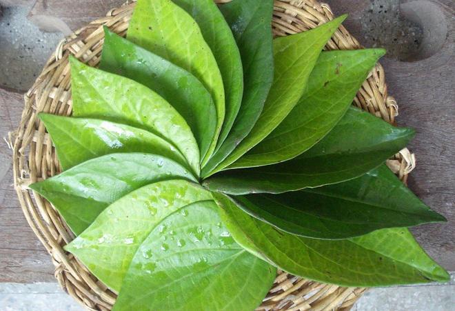 Trầu đâu chỉ để nhai cho vui, trị mụn, trắng răng, trầu làm được hết! Trầu đâu chỉ để nhai cho vui, trị mụn, trắng răng, trầu làm được hết!