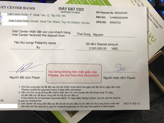 Chàng trai cố xoay sở 40 triệu chữa trị cho mèo cưng bị ngã gãy xương