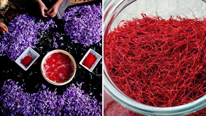 Nhụy hoa nghệ tây ngoài công dụng thần dược còn có gì đặc biệt mà đắt hơn vàng? Nhụy hoa nghệ tây ngoài công dụng thần dược còn có gì đặc biệt mà đắt hơn vàng?