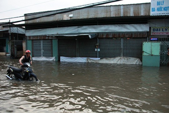 Triều cường đạt đỉnh, người dân cầu cứu xe ba gác