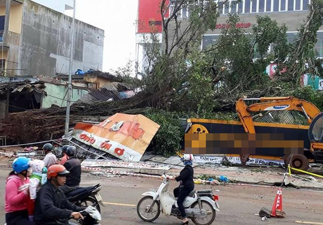 Cây đa cổ thụ bật gốc đè sập nhiều cửa hàng