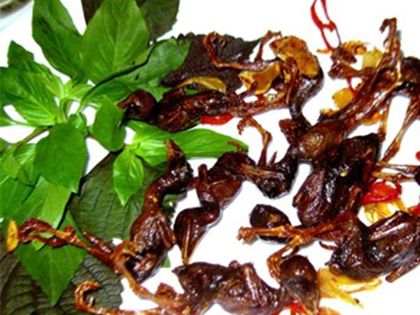 Món ngon từ chim sẻ bổ thận, tráng dương Món ngon từ chim sẻ bổ thận, tráng dương