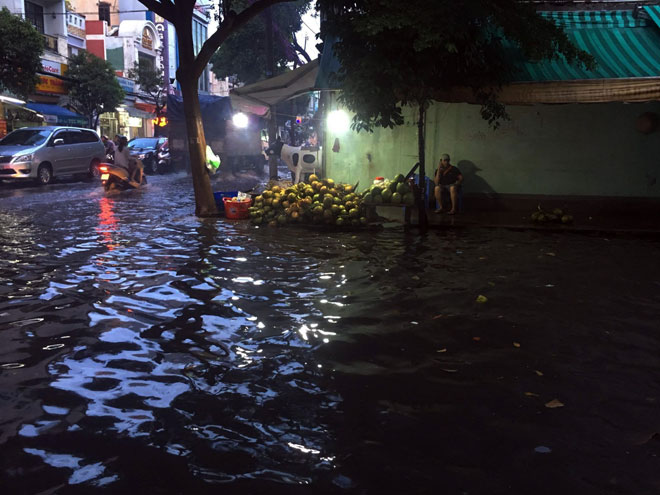Mưa chớp mắt, phố Sài Gòn ngập như lụt miền Trung