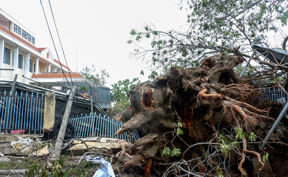 3 ngày sau bão, Nha Trang vẫn ngổn ngang