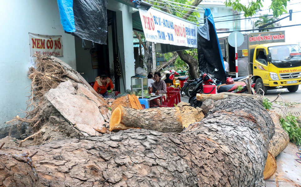 3 ngày sau bão, Nha Trang vẫn ngổn ngang