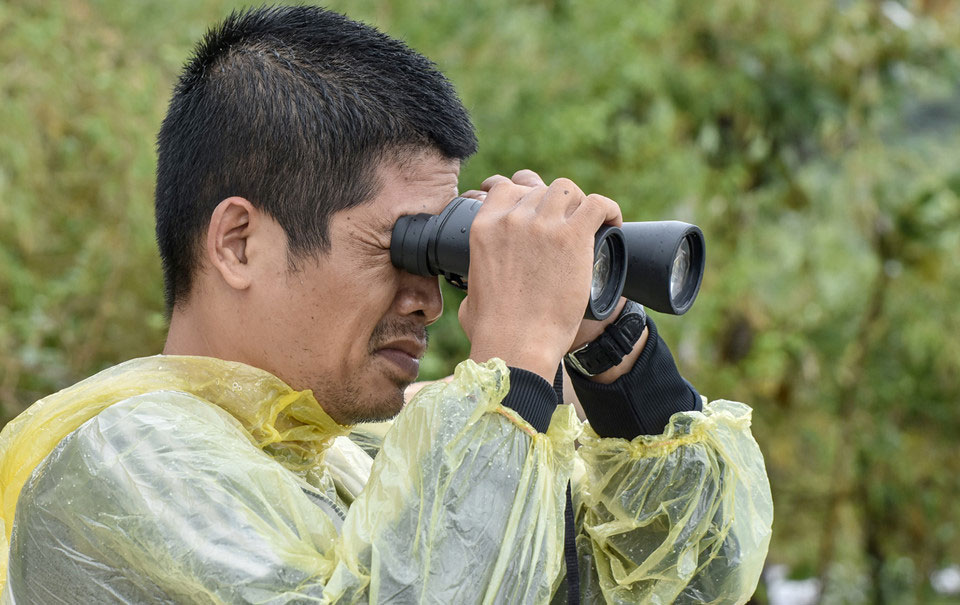 Nghĩa địa tàu hàng bị chìm sau bão số 12 ở biển Quy Nhơn