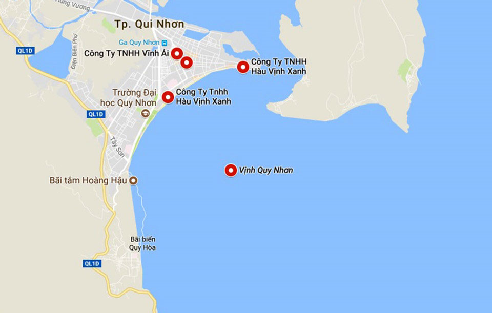 Nghĩa địa tàu hàng bị chìm sau bão số 12 ở biển Quy Nhơn