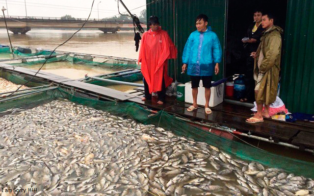 Phút thoát chết của người đàn ông bị lũ cuốn 10km cùng bè cá