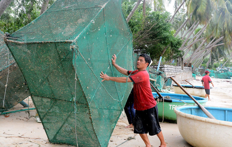 10.000 lồng tôm hùm tan nát sau bão số 12, người dân mất tiền tỷ