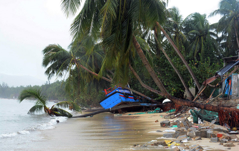 10.000 lồng tôm hùm tan nát sau bão số 12, người dân mất tiền tỷ