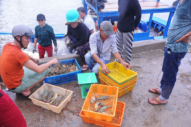 Vương quốc tôm hùm người trắng tay, người lâm cảnh nợ