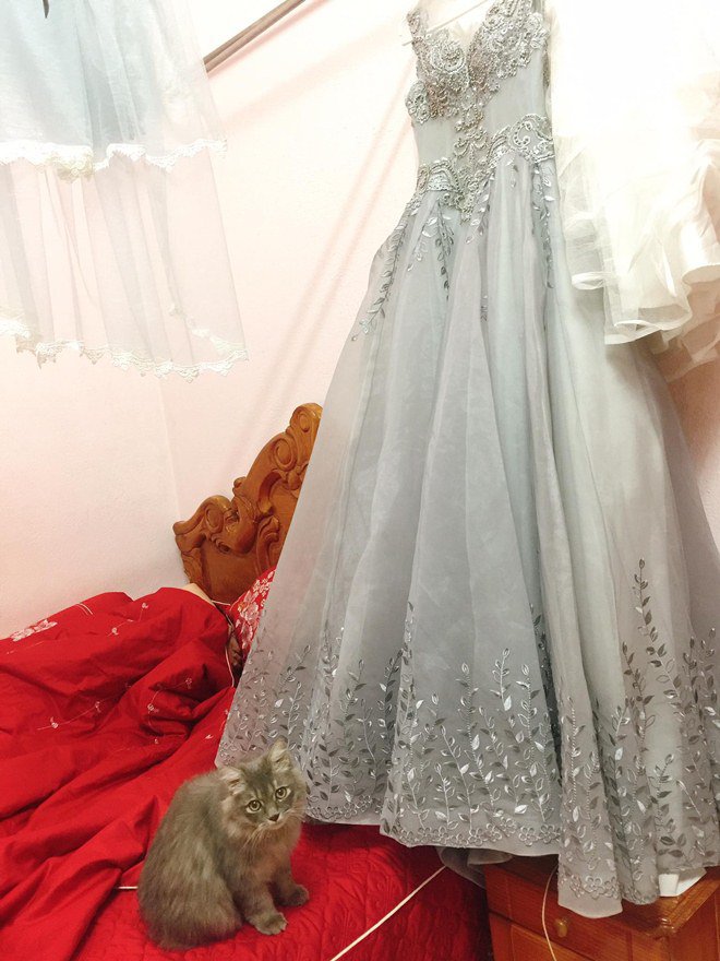 Đám cưới Trần Tú - Người phán xử: Công Lý cùng bạn gái và đồng nghiệp tưng bừng tới dự