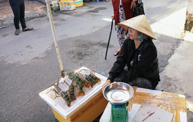Người dân vùng bão gửi tôm hùm vào Sài Gòn bán tháo kiếm tiền sửa nhà