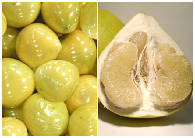 Buôn bưởi vàng óng Trung Quốc thương lái khóc ròng