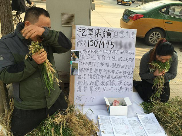 Cha mẹ ngồi ăn cỏ trên đường để gây quỹ chữa ung thư cho con