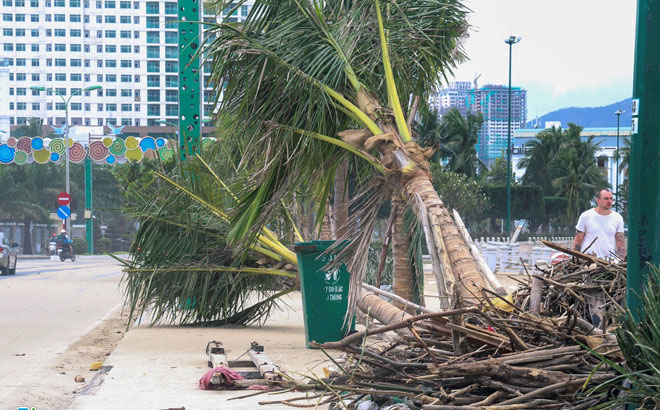 Mất cả năm hàng viện trợ mới tới tay dân vùng bão thì còn ý nghĩa gì?