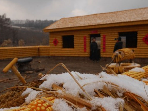 Chưa từng thấy: Dùng 20.000 bắp ngô xây cả trang trại ở TQ