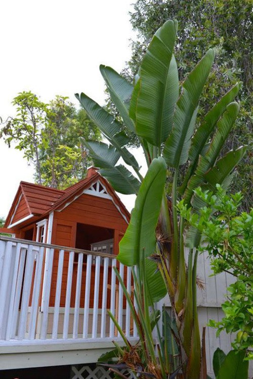 Ca sĩ Thu Phương thực sự giàu đến mức nào? Ca sĩ Thu Phương thực sự giàu đến mức nào?