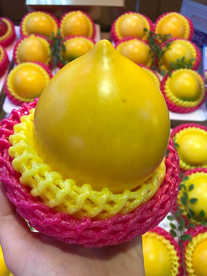 Vú sữa vàng ươm: Lạ mắt giá chát 350 ngàn/quả