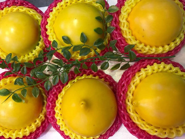 Vú sữa vàng ươm: Lạ mắt giá chát 350 ngàn/quả