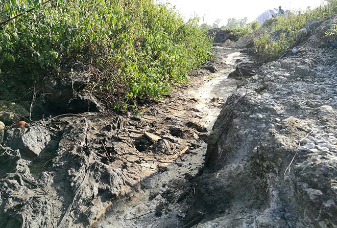 Đi tìm mùi hóa chất lạ đang tấn công người dân ở Hà Nội