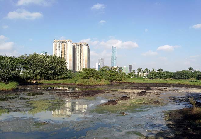 Đi tìm mùi hóa chất lạ đang tấn công người dân ở Hà Nội