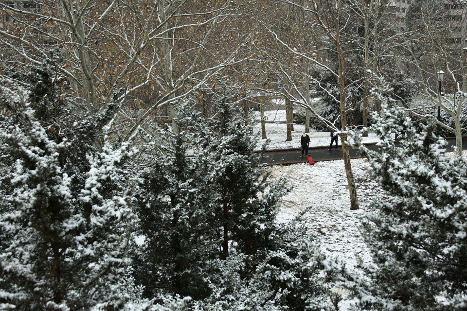 Bão tuyết tấn công Bờ Đông nước Mỹ, 260.000 người bị mất điện