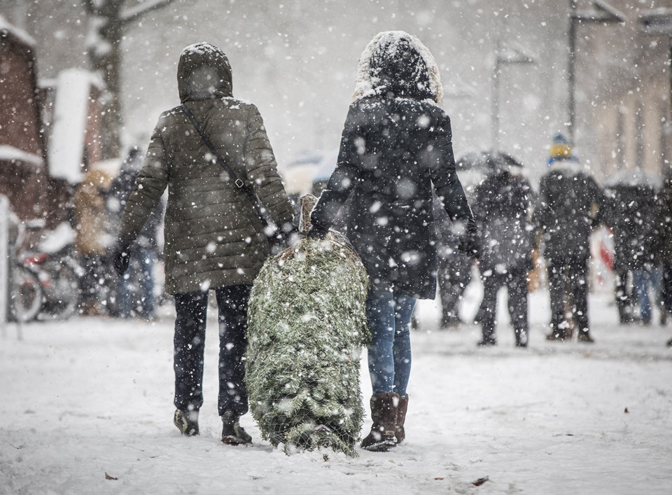 Bão tuyết càn quét châu Âu, giao thông hỗn loạn như chiến sự