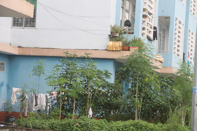 TPHCM: Dân tháo chạy khỏi... khu nhà ở tái định cư