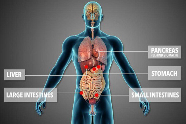 Thần kỳ chuyện người phụ nữ được hiến tặng... 5 nội tạng cùng lúc và được sống