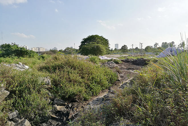 Cận cảnh thủ phạm gây mùi khủng khiếp, đầu độc dân Thủ đô