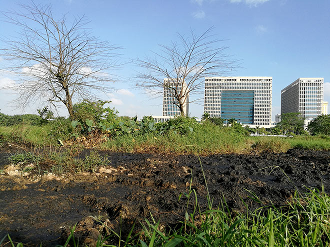 Cận cảnh thủ phạm gây mùi khủng khiếp, đầu độc dân Thủ đô