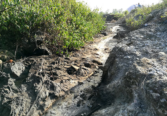 Cận cảnh thủ phạm gây mùi khủng khiếp, đầu độc dân Thủ đô