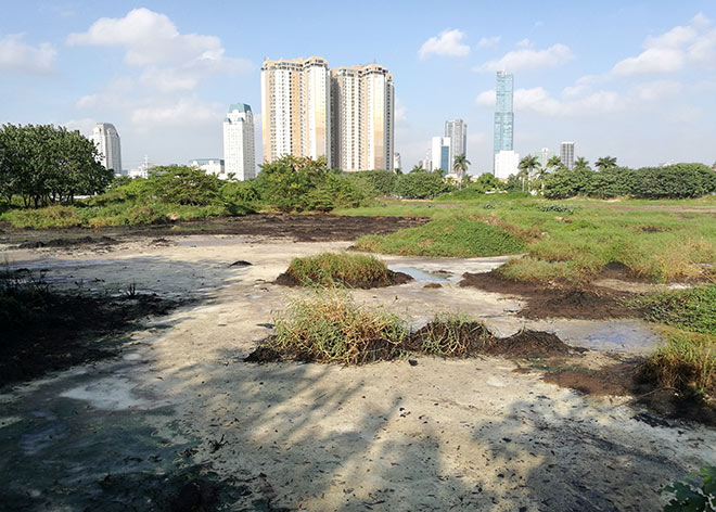 Cận cảnh thủ phạm gây mùi khủng khiếp, đầu độc dân Thủ đô