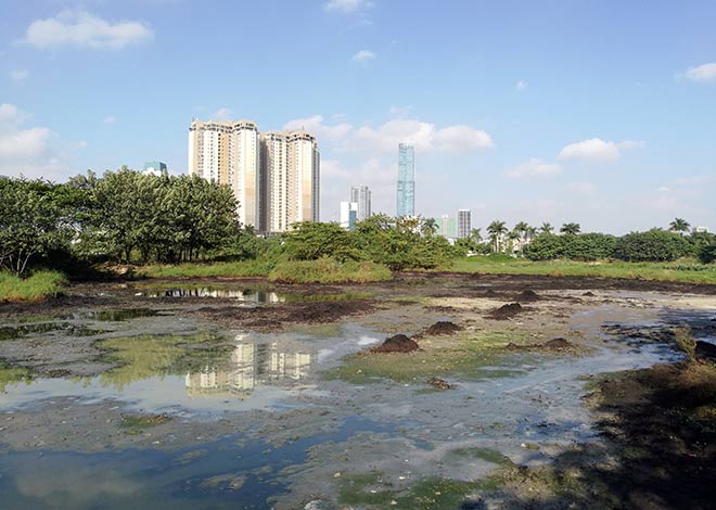 Cận cảnh thủ phạm gây mùi khủng khiếp, đầu độc dân Thủ đô