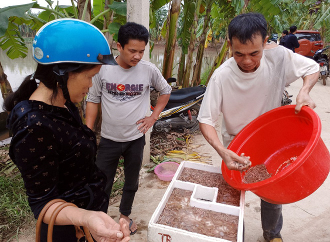 Nhà giàu bỏ cả chục triệu đồng, trữ rồng đất đông lạnh ăn Tết