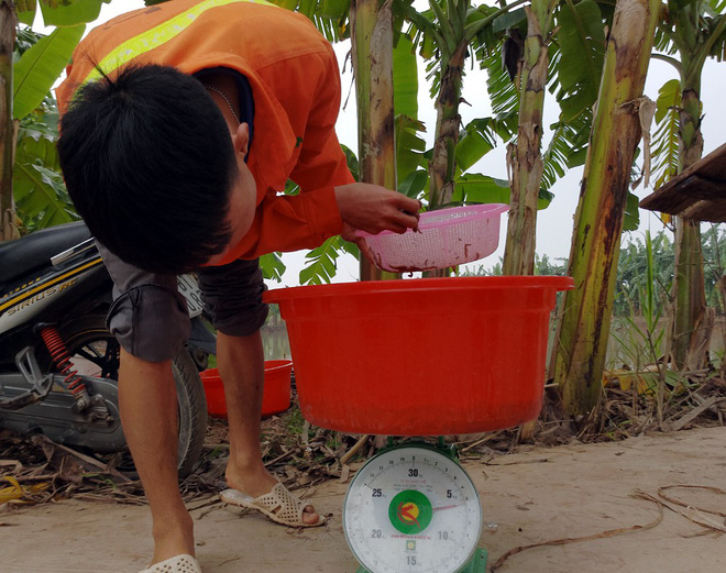 Nhà giàu bỏ cả chục triệu đồng, trữ rồng đất đông lạnh ăn Tết