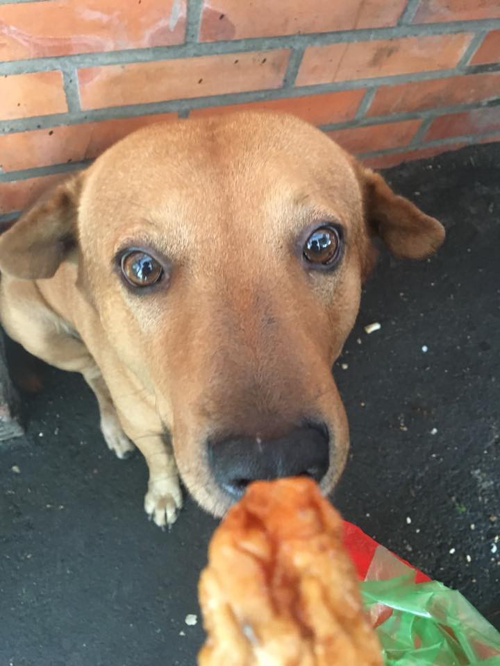 Con boss xuất sắc nhất 2017: Đuổi ăn trộm rơi cả điện thoại và ma túy lại hiện trường