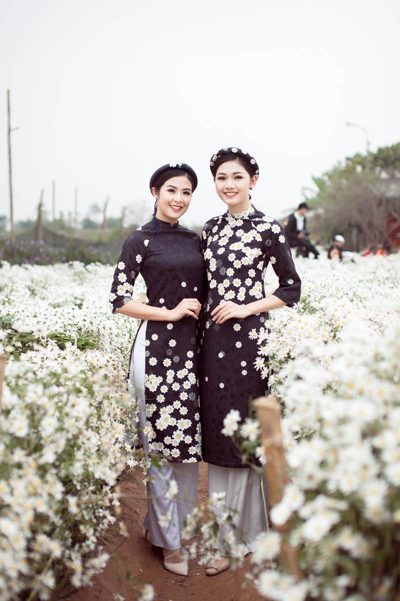 Cúc họa mi nở rộ: Ngọc Hân, Thanh Tú cũng chen chân chụp ảnh khoe dáng