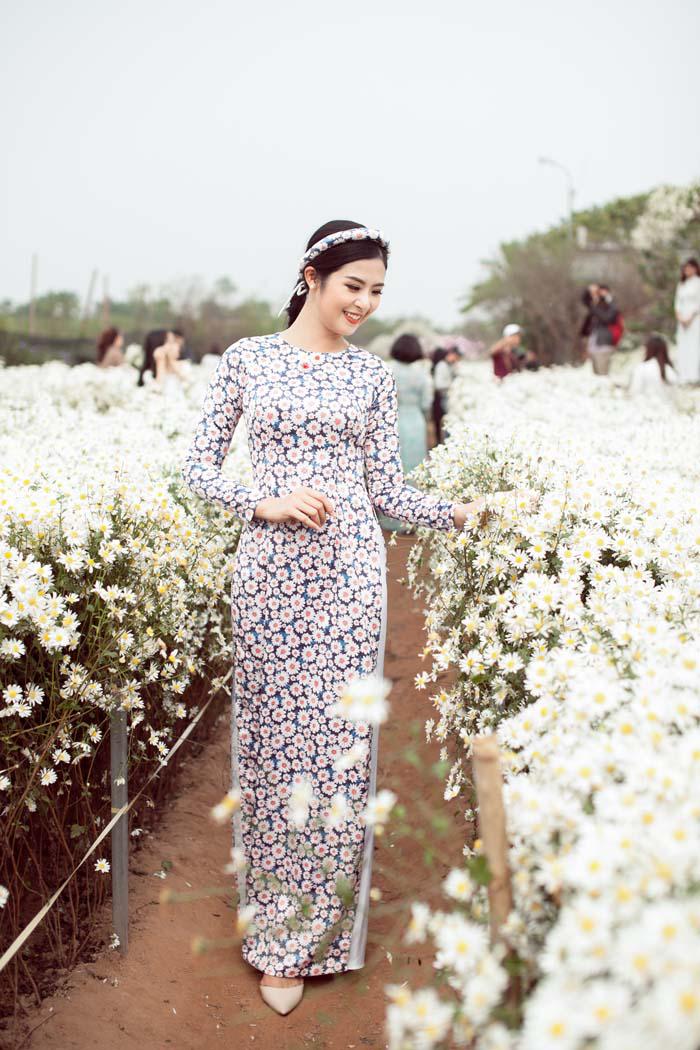 Cúc họa mi nở rộ: Ngọc Hân, Thanh Tú cũng chen chân chụp ảnh khoe dáng