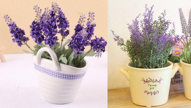 10 loại cây cảnh thanh lọc không khí trong phòng ngủ, giúp bạn ngủ ngon hơn mà lại rất dễ chăm sóc 10 loại cây cảnh thanh lọc không khí trong phòng ngủ, giúp bạn ngủ ngon hơn mà lại rất dễ chăm sóc