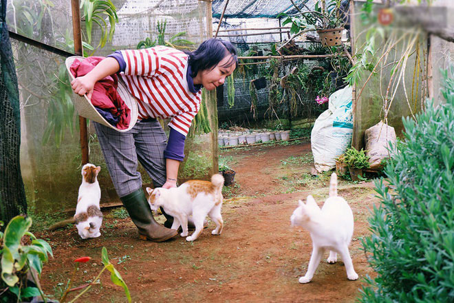 Cô thạc sĩ Sài Gòn bỏ phố lên rừng, trồng hoa và sống trong ngôi nhà nhỏ với 5 chú mèo ở Đà Lạt Cô thạc sĩ Sài Gòn bỏ phố lên rừng, trồng hoa và sống trong ngôi nhà nhỏ với 5 chú mèo ở Đà Lạt