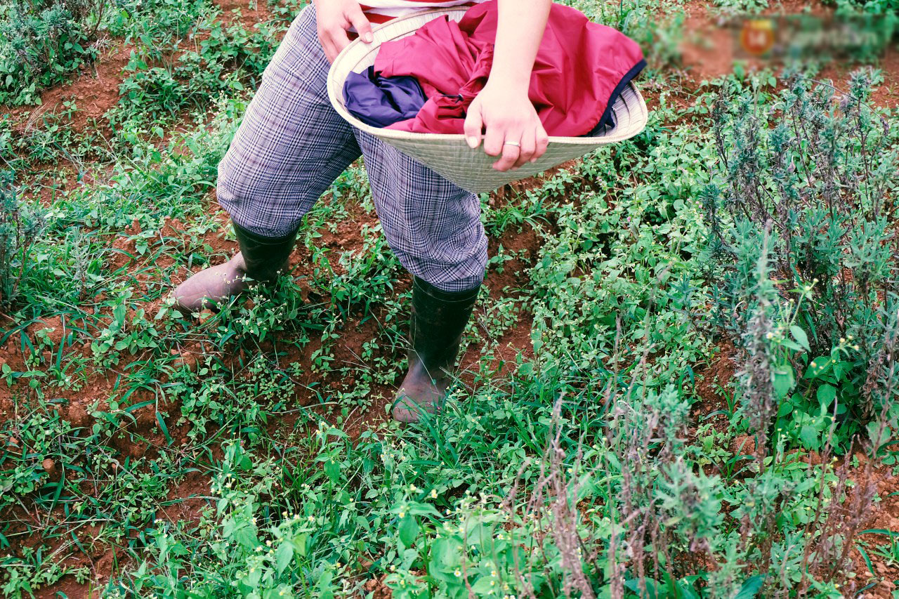 Cô thạc sĩ Sài Gòn bỏ phố lên rừng, trồng hoa và sống trong ngôi nhà nhỏ với 5 chú mèo ở Đà Lạt